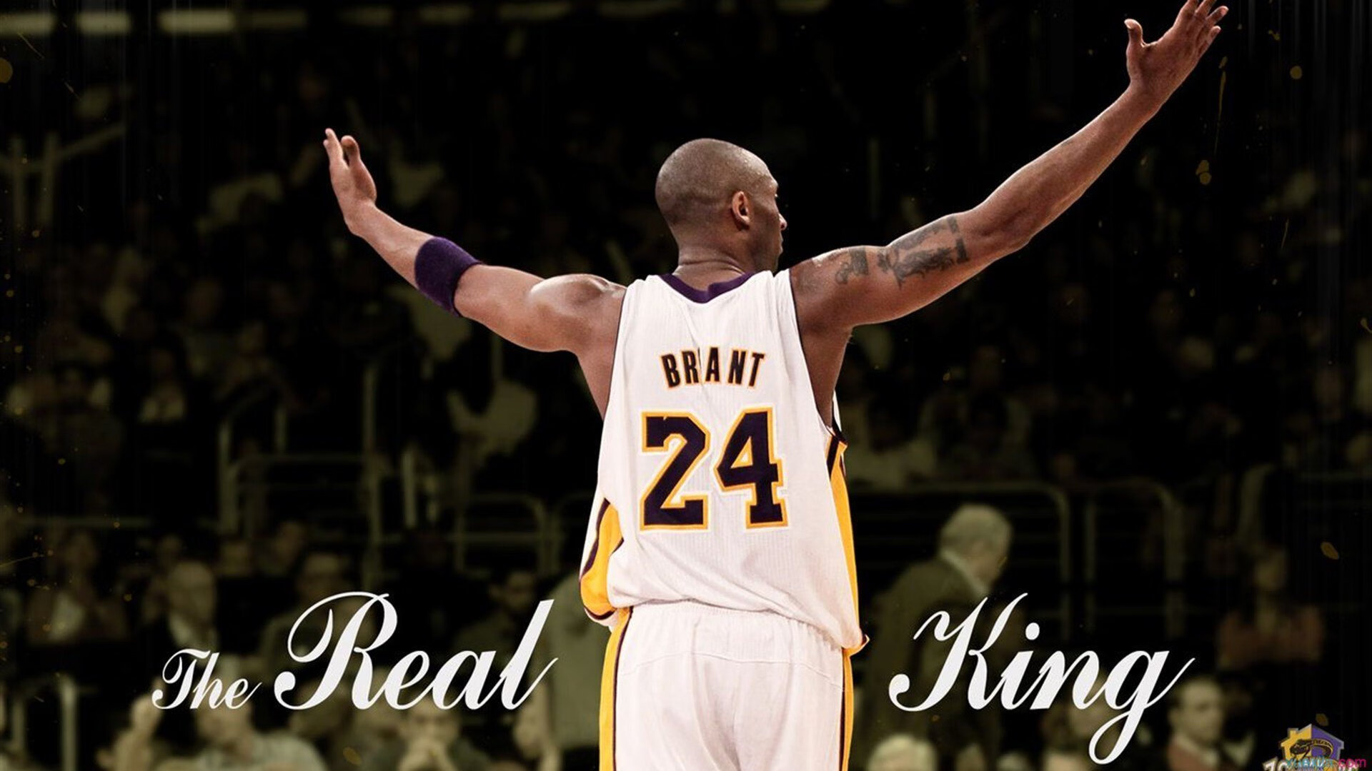 街头篮球文化节吸引年轻人参与展现篮球无限魅力，街头篮球话语